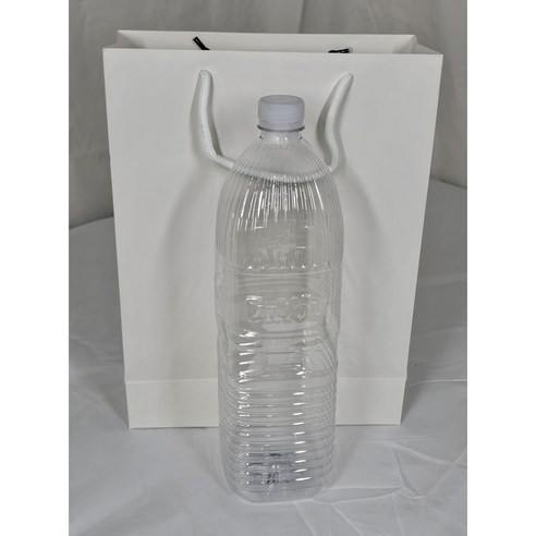 품격 있는 선물의 완성, 호야몰 무광 코팅 쇼핑백으로 마음을 전하세요