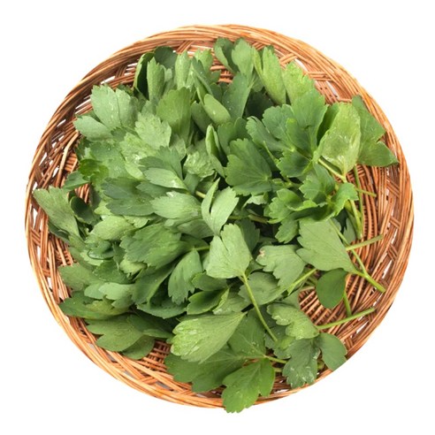 의령농산 건강채소 국내산 방풍나물 500g/1kg/2kg