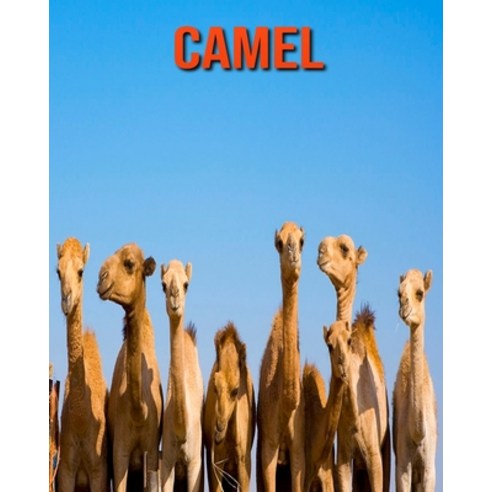 Camel: Learn About Camel and Enjoy Colorful Pictures Paperback ...