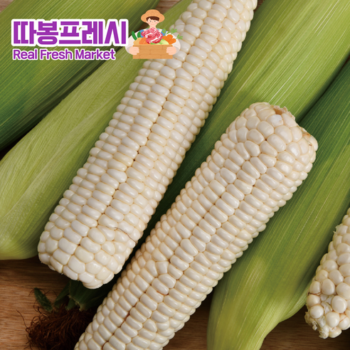 따봉프레시 품질보증 쫀득탱글 맛있는 황제 백찰옥수수, 20개, 7kg내외(특황제)