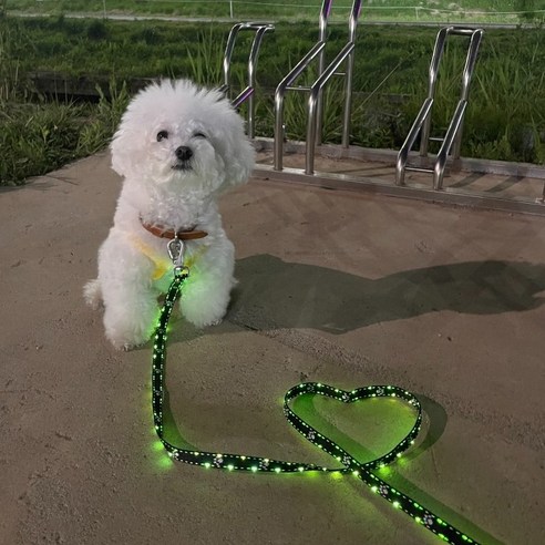 핀아펫 강아지 소형견 중대형견 산책줄 야간 LED 자동 리드줄 R