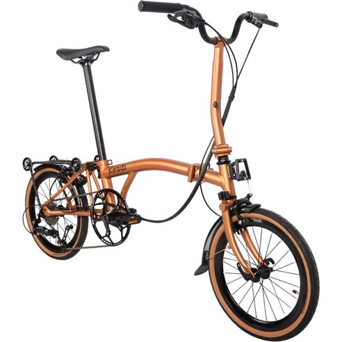 도시를 자유롭게, 바이크스 프로 트라이폴드 자전거