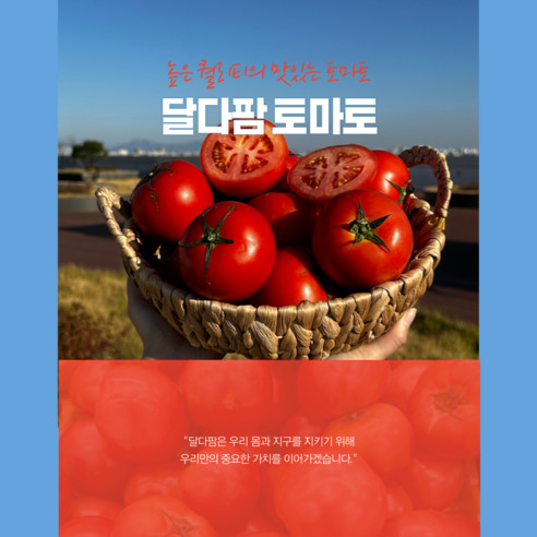 반짝 세일/토마토 완숙찰토마토 토마토주스 과일선물, 1개, 1번과 5kg