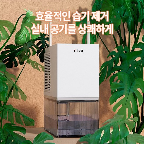 YINUO 제습기로 쾌적함과 아름다움을 동시에!