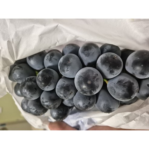 충랑포도 이것은 포도인가 아닌가? 씨없는포도 고당도 18브릭스 보장, 1박스, 2kg 보통 (6송이)