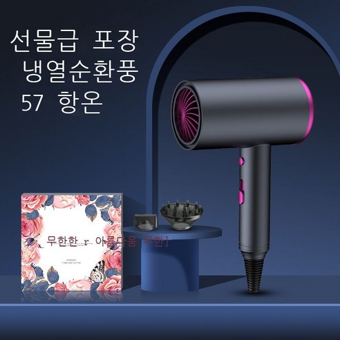신형 전기 드라이어 가정용 고성능 정음 음이온 린스 드라이어 틱톡망 빨간색 선물 박스 대리 발모, 883 그레이-선물세트