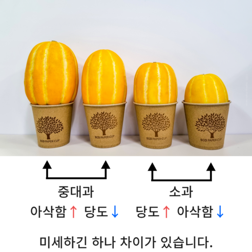 달콤함이 가득한 성주 꿀 참외