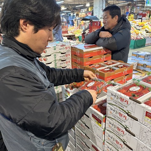 [백구푸드] 꿀당도 안전배송 에어포장 설향 딸기, 1박스, 설향 딸기 500g 중과 (3X5) 팩