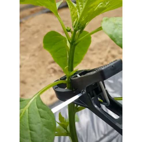 풍성한 수확을 위한 든든한 동반자, 쉬즈필 작물집게