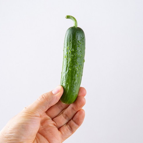 아삭한 국내산 미니오이 3kg, 1개, 3kg