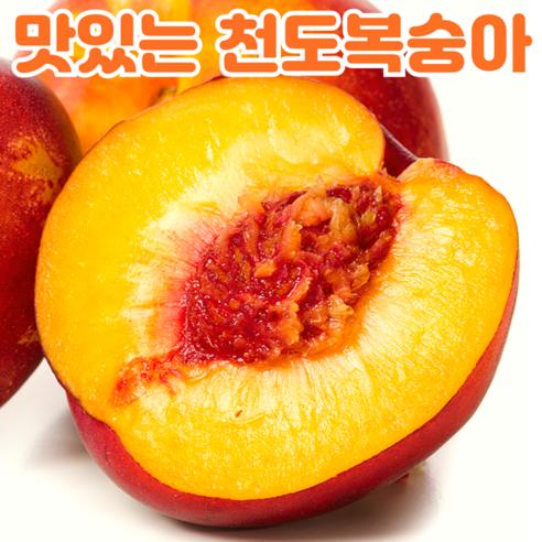 백화점납품용 프리미엄 황금당도 천도복숭아 신비복숭아, 1박스, 1000g 복숭아가격