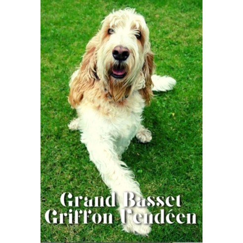 (영문도서) Grand Basset Griffon Vende&#769;en: Dog breed overview and guide Paperback, Independently Published, English, 9798852248350