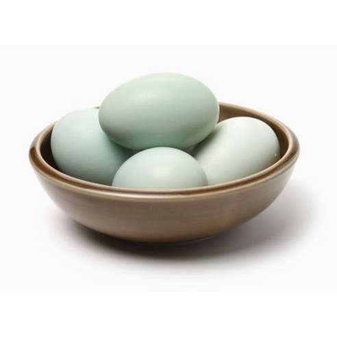 푸른 빛 행운, 매일 아침 당신의 식탁에 건강을 더하세요