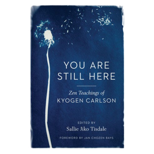 You Are Still Here: Zen Teachings of Kyogen Carlson Paperback, Shambhala