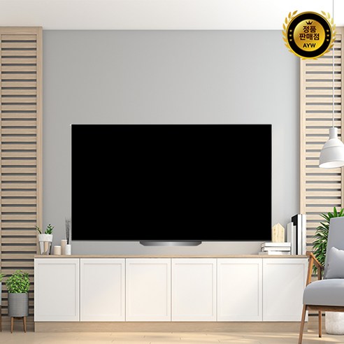 oled65b2qna  LG전자 올레드 TV, 방문설치, 138cm(55인치), OLED55B2KNA, 스탠드형