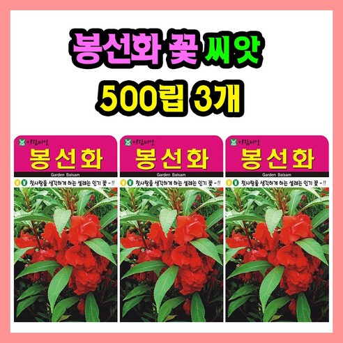 봉선화 씨앗 (합 1500립) 봉숭아 꽃씨 종자, 3개