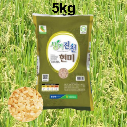 현미 햅쌀 5키로 10키로 농협 진천쌀 단일품종 알찬미 현미쌀 5kg 10kg, 알찬미 현미쌀5kg, 1개
