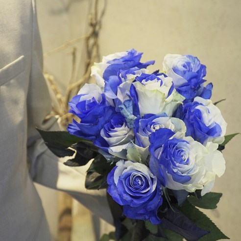 롤리팝 장미 생화택배: 사랑, 감사, 희망의 화려한 표현