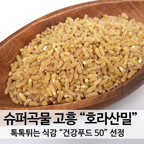 [진도장모와서울큰사위] 국산 호라산밀 1kg 슈퍼곡물 톡톡식감 [24년산 출시] 고대밀 영양가득 산지직송, 1개