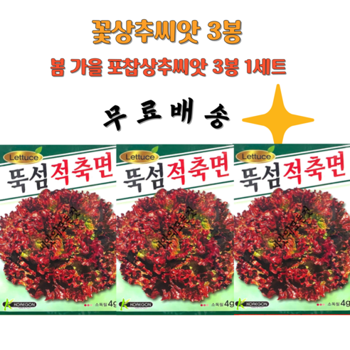 뚝섬상추씨앗 꽃상추종자 포찹상추씨앗 3봉1세트, 1세트 뚝섬상추씨앗 꽃상추종자 포찹상추씨앗 3봉1세트, 1세트