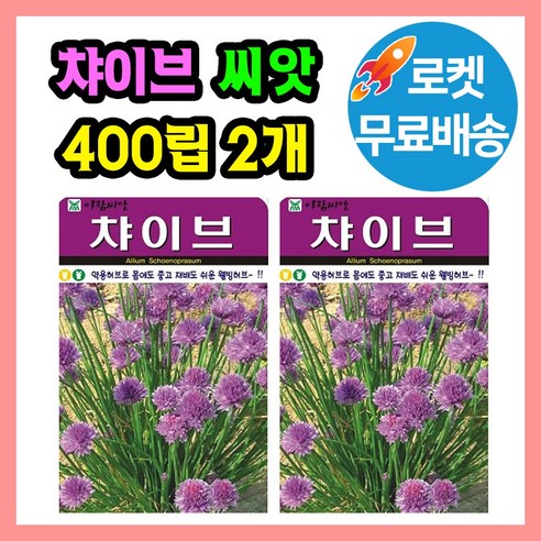 허브 챠이브 (차이브) 씨앗 (합 800립) 허브씨 종자
