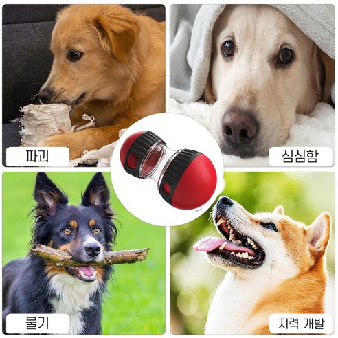 la derive 강아지 노즈워크 간식 장난감 간식볼, 1개, 레드