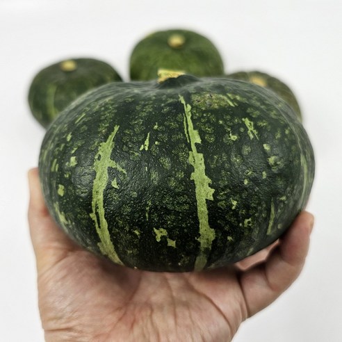 [FOODLAB] 정품 단호박 S 10kg (8~13과 내외), 단품