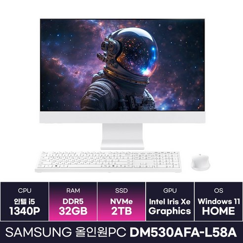 삼성전자 올인원PC DM530AFA-L58A 인텔 i5 13세대 일체형PC 윈도우 탑재 (32GB/2TB) / KCJH