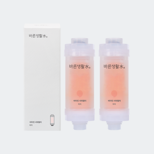 바른생활수 염소 제거 비타민 샤워필터, 2개, 피치
