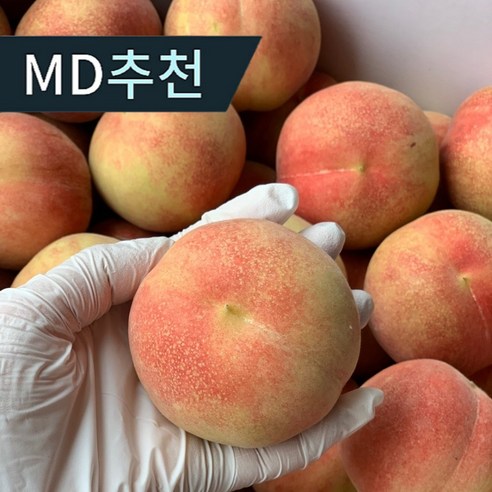 [품질보장] 백화점 납품 초고당도 귀한 품종 한국판 반납작복숭아 대극천복숭아 출시 로얄과 1kg 2kg, 1박스, 2kg 로얄과(16-24개입)