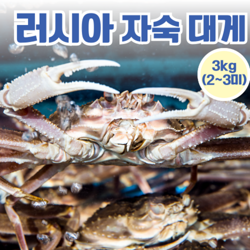 [동해항직송] 러시아 대게 자숙, 1박스, 3kg