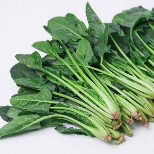 신선한 시금치로 건강한 식탁 만들기