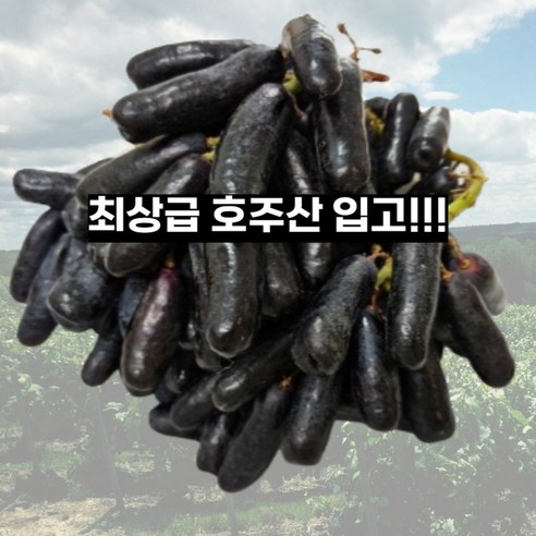 내고향농수산 블랙사파이어 포도 씨없는포도 가지포도 스윗사파이어 1kg 2kg 4kg, 1개