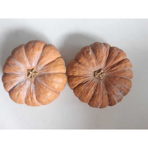 국내산 늙은호박 3kg 6kg 10kg, 5kg, 1개