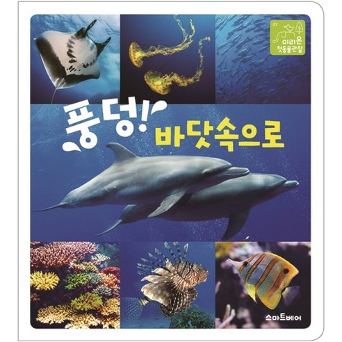 풍덩! 바닷속으로, 스마트베어