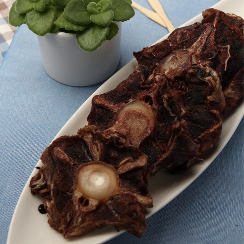 힐링펫 캥거루꼬리껌: 건강과 즐거움을 한 번에!