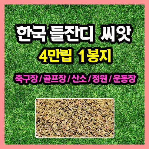 한국 들잔디 씨앗 대용량 4만립, 1개