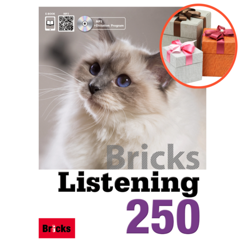 Bricks Listening 250 Level 3