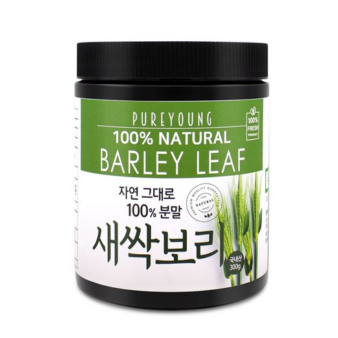 퓨어영 국산 새싹보리 분말 가루, 300g, 1개