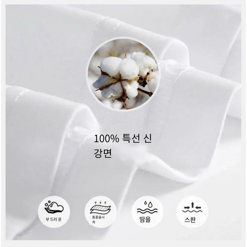 매끄럽고 통기성 뛰어난 밀크봉봉의 여성 순면 반팔 티셔츠