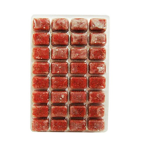 냉짱으로 밥투정 끝! 물고기 건강과 성장을 한번에!