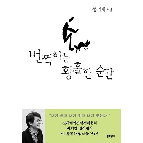 비추는 비애: 성석제 소설, 문학동네, 성석제 오백년째열다섯 비추는 비애: 성석제 소설, 문학동네, 성석제 오백년째열다섯