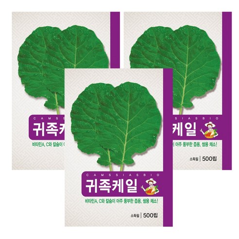 즙용 쌈채소용 케일 씨앗 3개입, 1개