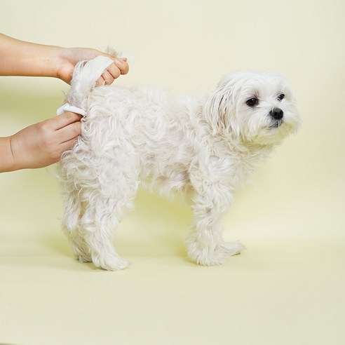 플루셔블, 흡수성, 냄새 제어 기능을 갖춘 페피릴리프 푸푸티슈로 편리하고 위생적으로 강아지 볼일을 처리하세요.