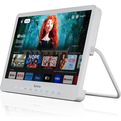 681. 휴대용 방수 15.6인치 TV 스마트 구글