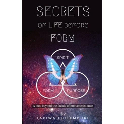 (영문도서) Secrets of Life Before Form: A look beyond the façade of human existence Paperback, Digital Mint, English, 9798987887806