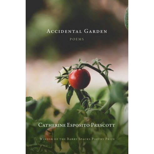 (영문도서) Accidental Garden Paperback, Gunpowder Press, English, 9781957062068