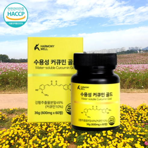 2세대 미셀화 커큐민 영양제 수용성 고약사 커큐민 테라큐민 나노큐민 레드큐민 60정, 1개