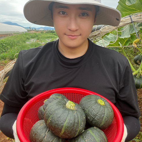 전남 해남 친환경 무농약 밤호박 2kg, 1개
