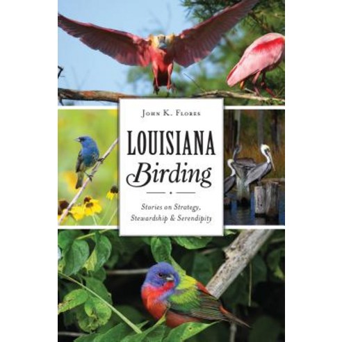 Louisiana Birding: Stories on Strategy Stewardship and Serendipity Paperback, History Press